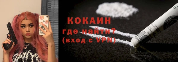 spice Гусь-Хрустальный