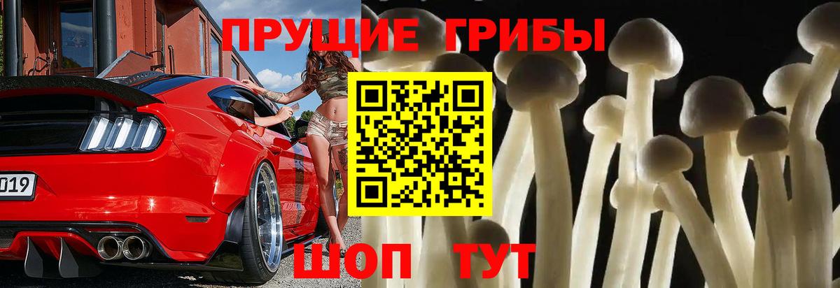 Галлюциногенные грибы Psilocybe  Вход с VPN  Похвистнево  Псилоцибиновые грибы Magic Shrooms 